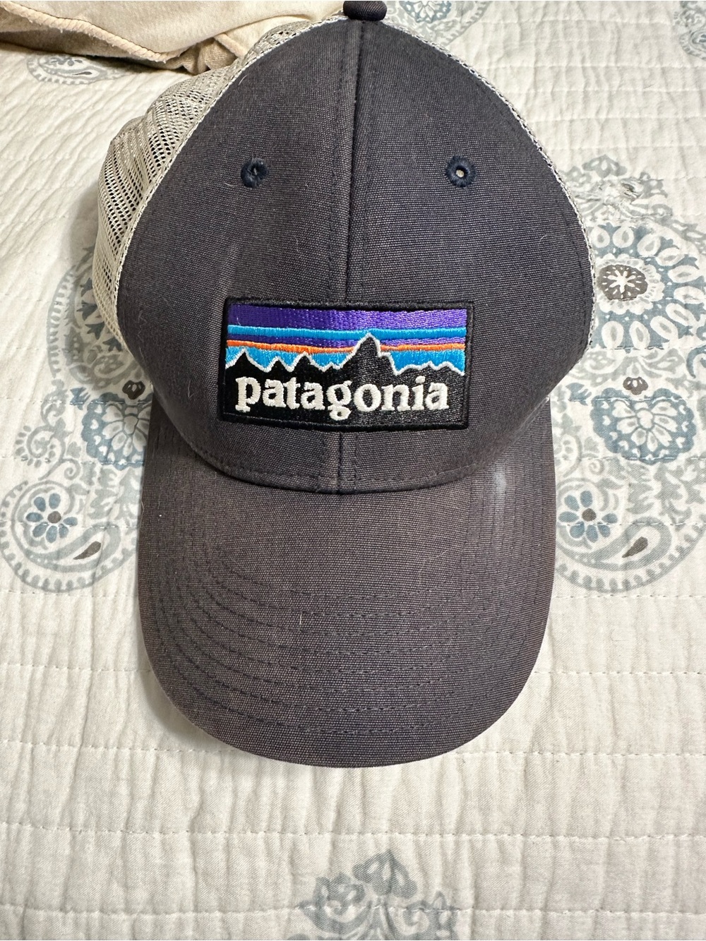 Patagonia Dark Gray and Cream Trucker Hat with Multicolor Mountain Logo